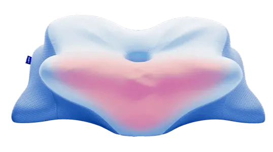 Derila Ergo Pillow official website