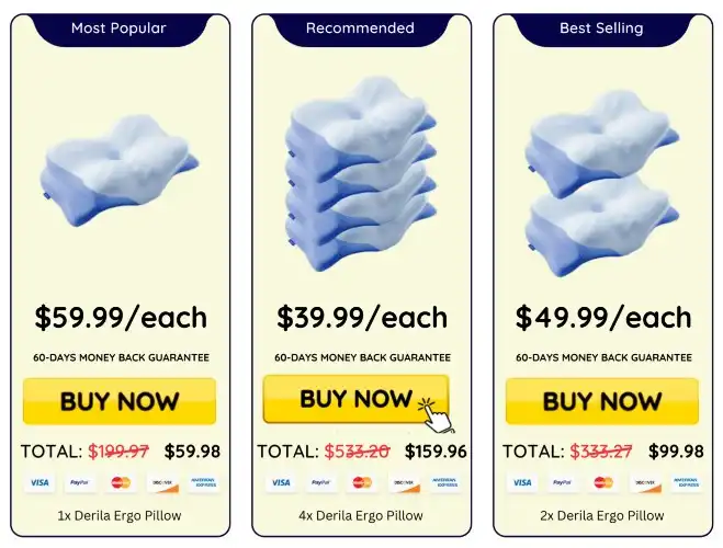 Derila Ergo Pillow pricing